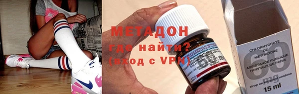 прущие грибы Сясьстрой