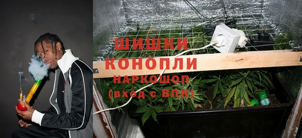 шишки Ступино