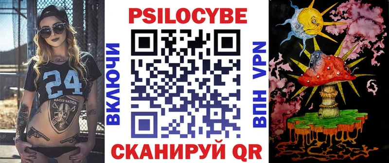 как найти закладки  Ставрополь  Галлюциногенные грибы Psilocybine cubensis 